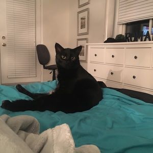 Meet your Posher, Nicole